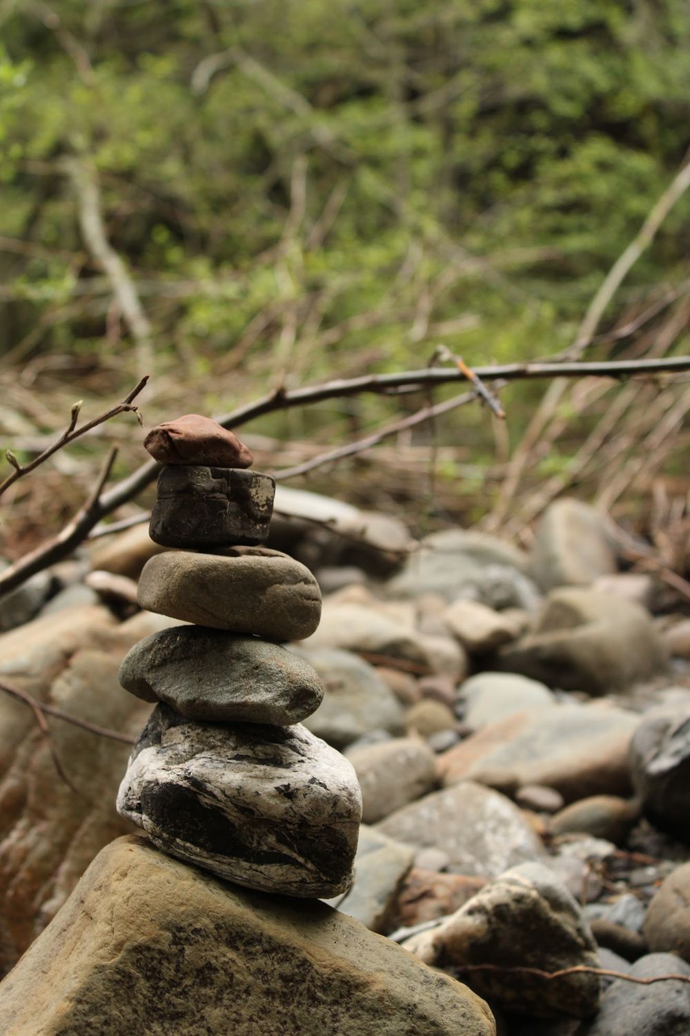 "Sentinel" Photo Print